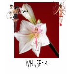 SHHH WHISPER SHIRT
