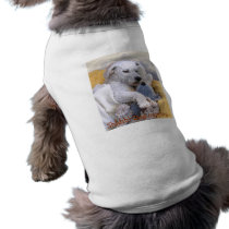 Shhhh! Dog napping.. pet clothing