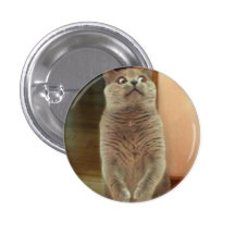 Shhhhh Pins