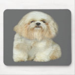 Shi Tzu Mousepad