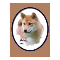 Shiba Inu Art Gifts posters