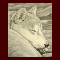 Shiba Inu Art Print Dog Art Poster Shiba Inu Gifts posters