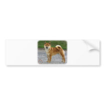 Shiba Inu Bumper Sticker
