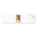 Shiba Inu bumper stickers