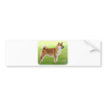 Shiba Inu Bumper Sticker