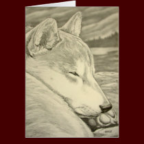 Shiba Inu Dog Art Cards Blank Shiba Inu Cards cards