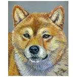 Shiba Inu Dog Art - Suki Tee Shirt