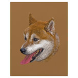 Shiba Inu Gift flyers