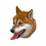 Shiba Inu Gift Tshirts
