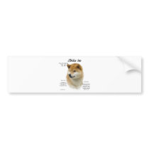 Shiba Inu History Design Bumper Stickers