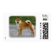 Shiba Inu Postage Stamps