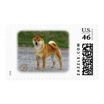 Shiba Inu Stamps