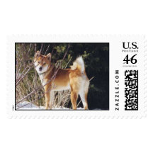 Shiba inu postage