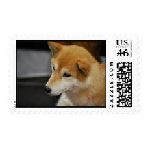 Shiba Inu Postage Stamp
