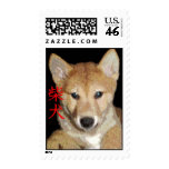 Shiba-Inu Stamp