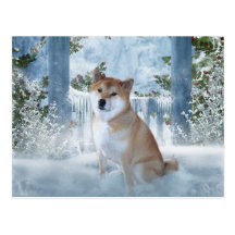 Shiba Inu Winter Postcard