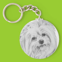 ShiChi keychains