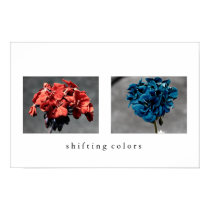Shifting Colors posters by Deltron Shifting Colors posters