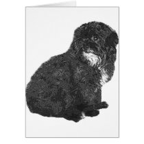 Shih Poo cards by fitzbitz Shih Poo cards