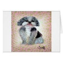 fat shih poo