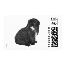 Shih Poo postage by fitzbitz Shih Poo postage