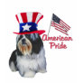Shih Tzu American Pride