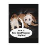 Shih Tzu and English Bulldog Puppys Post Cards