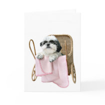 Shih Tzu baby buggy Card