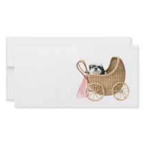 Shih Tzu baby buggy photo cards