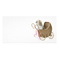 Shih Tzu baby buggy photo cards