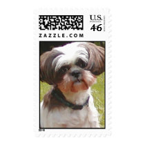 Shih Tzu Betsy Postage