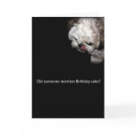 Shih-Tzu Birthday Card