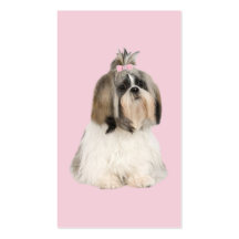 Shih Tzu Breeder Business Card