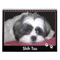Shih Tzu Calendar by ironydesignphotos Shih Tzu Calendar