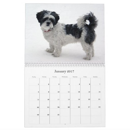 Shih Tzu Calendar Zazzle