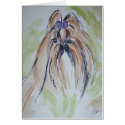 Shih Tzu cards