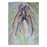 Shih Tzu Cards