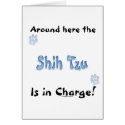 Shih Tzu Charge cards by GreyWolfCreation Shih Tzu Charge cards