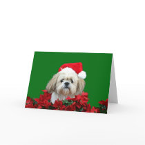Shih Tzu  Christmas Card