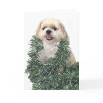 Shih Tzu Christmas cards by deemac1 Shih Tzu Christmas cards