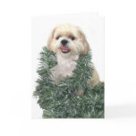 Shih Tzu Christmas Card