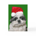 Shih Tzu Christmas cards by deemac1 Shih Tzu Christmas cards