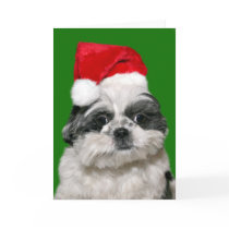 Shih Tzu Christmas cards