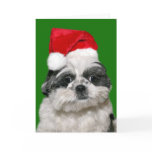 Shih Tzu Christmas Cards