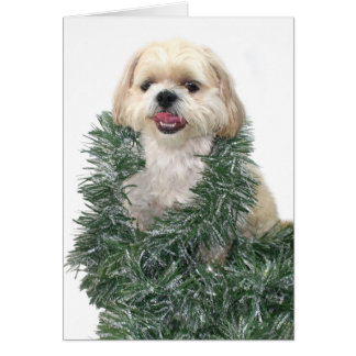 shih tzu cards shih tzu cards zazzle shih tzu cards shih tzu cards zazzle
