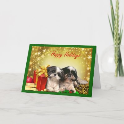 Shih Tzu  Christmas Card Gifts