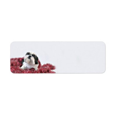 Shih Tzu Christmas labels