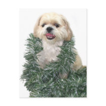 Shih Tzu Christmas postcards by deemac1 Shih Tzu Christmas postcards