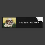 Shih Tzu Dog Art - Sophie Bumper Stickers
