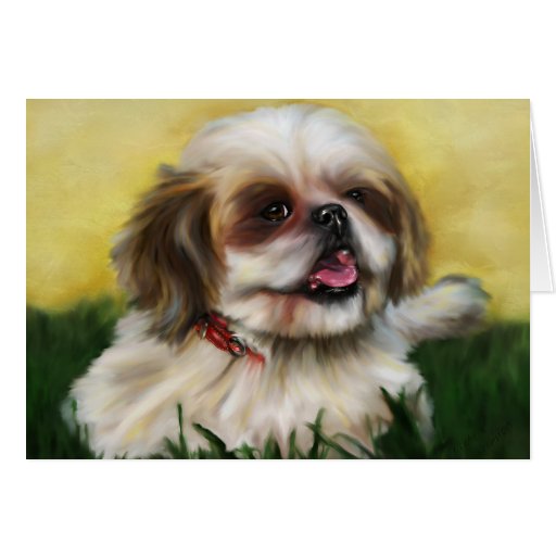 Shih Tzu Dog Art - Sophie Greeting Cards